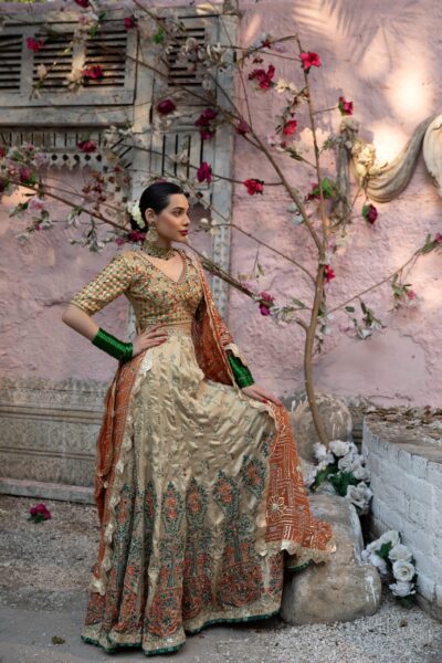 Golden Dreamy Bridal Lehenga - traditional pakistani bridal dress