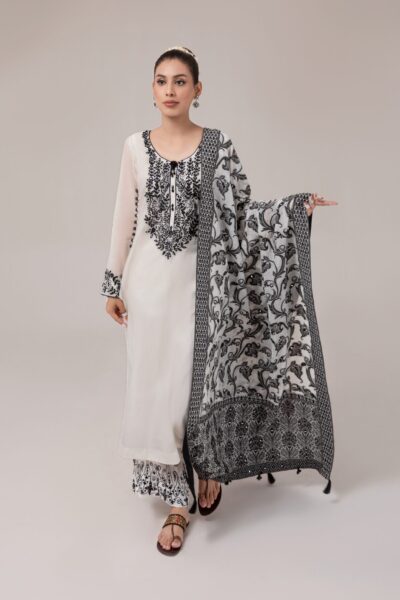 ladies dress