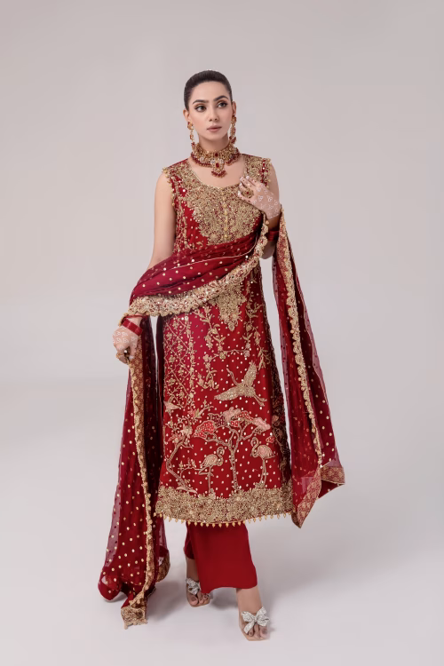 Elegant deep red embroidered ladies dress