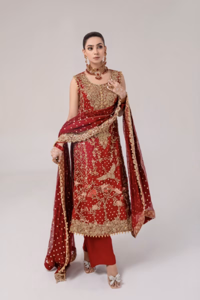 Elegant deep red embroidered ladies dress