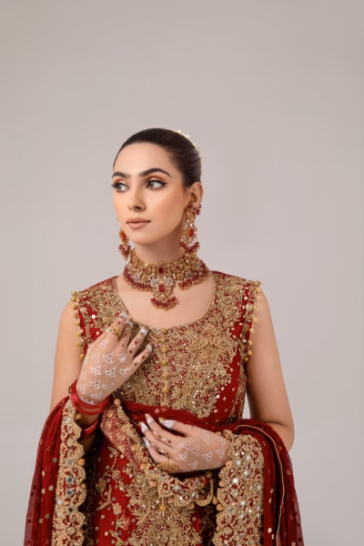 Elegant deep red embroidered ladies dress
