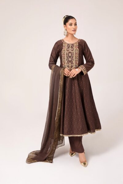embroidered Elegant Ladies Dress