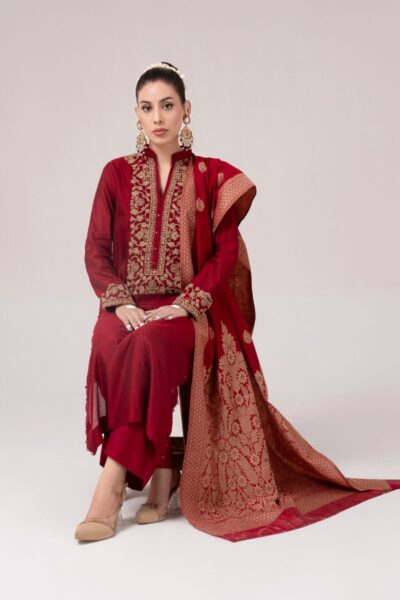 embroidered Elegant Ladies Dress