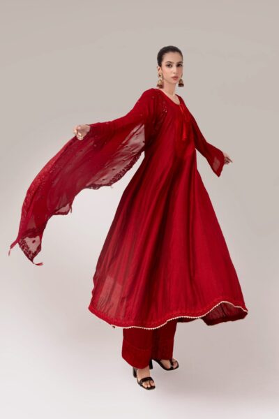 embroidered Elegant Ladies Dress