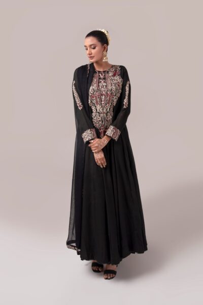 ladies dress