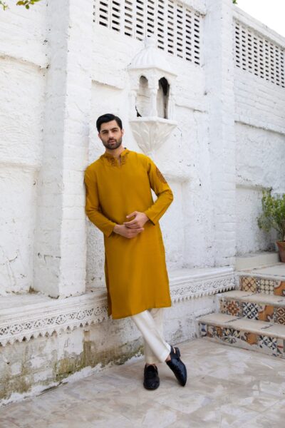 Medallion Marvel Kurta