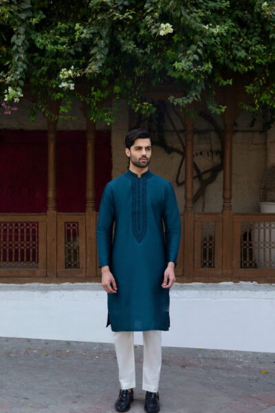 stunning men's blue kurta with front embroidery