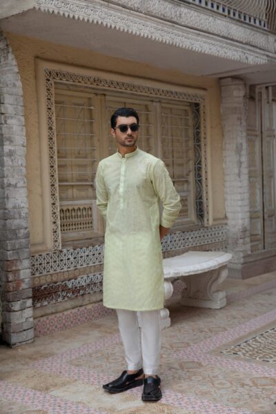 Mint Green Chikankari Kurta for Men | Formal Wear with White Pyjama