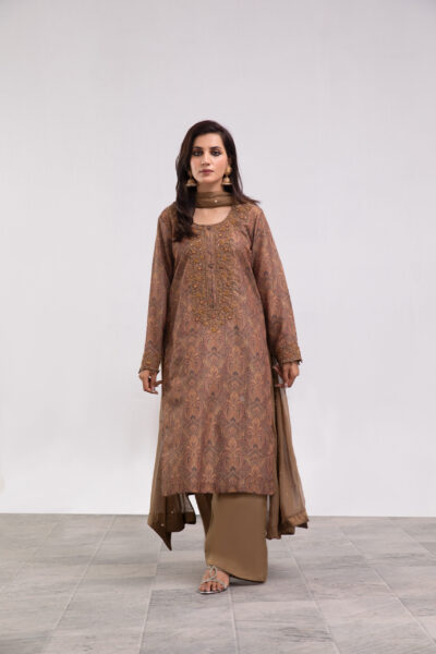 brown abstract print dress, ladies dress with hand work, 3-piece festive wear, chiffon dupatta suit, designer ethnic wear, luxury women's clothing