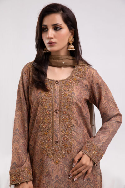 brown abstract print dress, ladies dress with hand work, 3-piece festive wear, chiffon dupatta suit, designer ethnic wear, luxury women's clothing